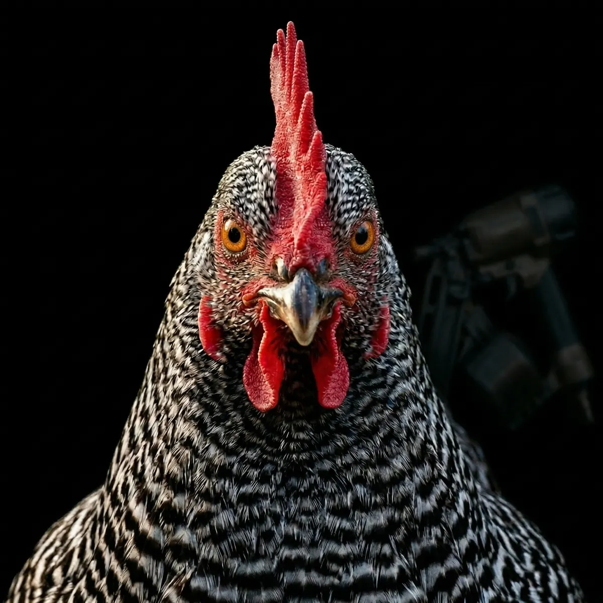 One unified marketing system for roofers